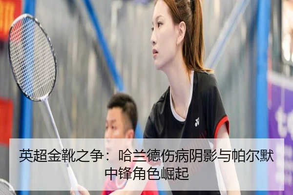 ying-chao-jin-xue-zhi-zheng-ha-lan-de-shang-bing-yin-ying-yu-pa-er-mo-zhong-feng-jue-se-jue-qi-2-939.jpg