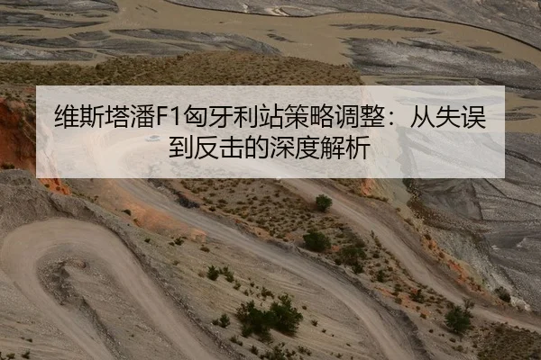 维斯塔潘F1匈牙利站策略调整：从失误到反击的深度解析