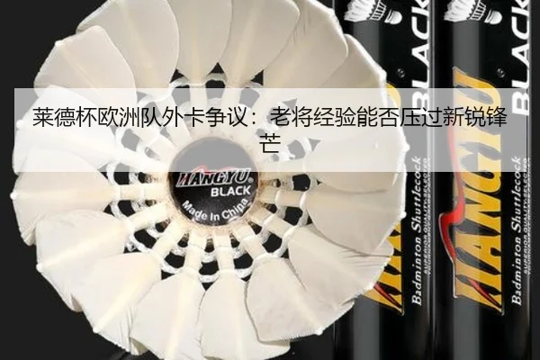 莱德杯欧洲队外卡争议：老将经验能否压过新锐锋芒