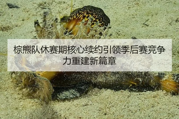 zong-xiong-dui-xiu-sai-qi-he-xin-xu-yue-yin-ling-ji-hou-sai-jing-zheng-li-chong-jian-xin-pian-zhang-3-887.jpg